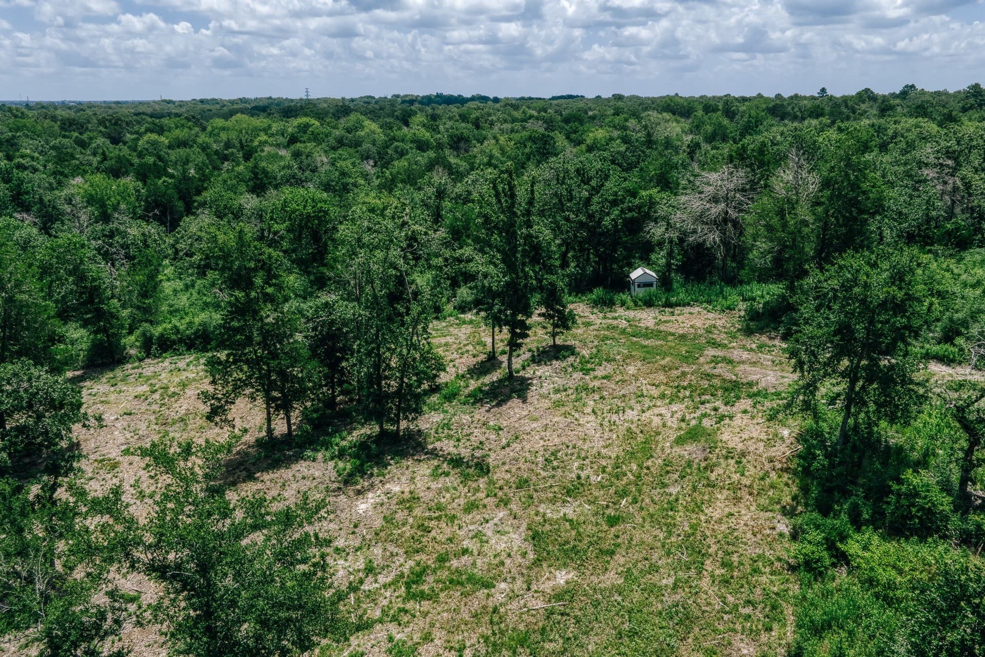 1,021 acres in Limestone County - photo 8