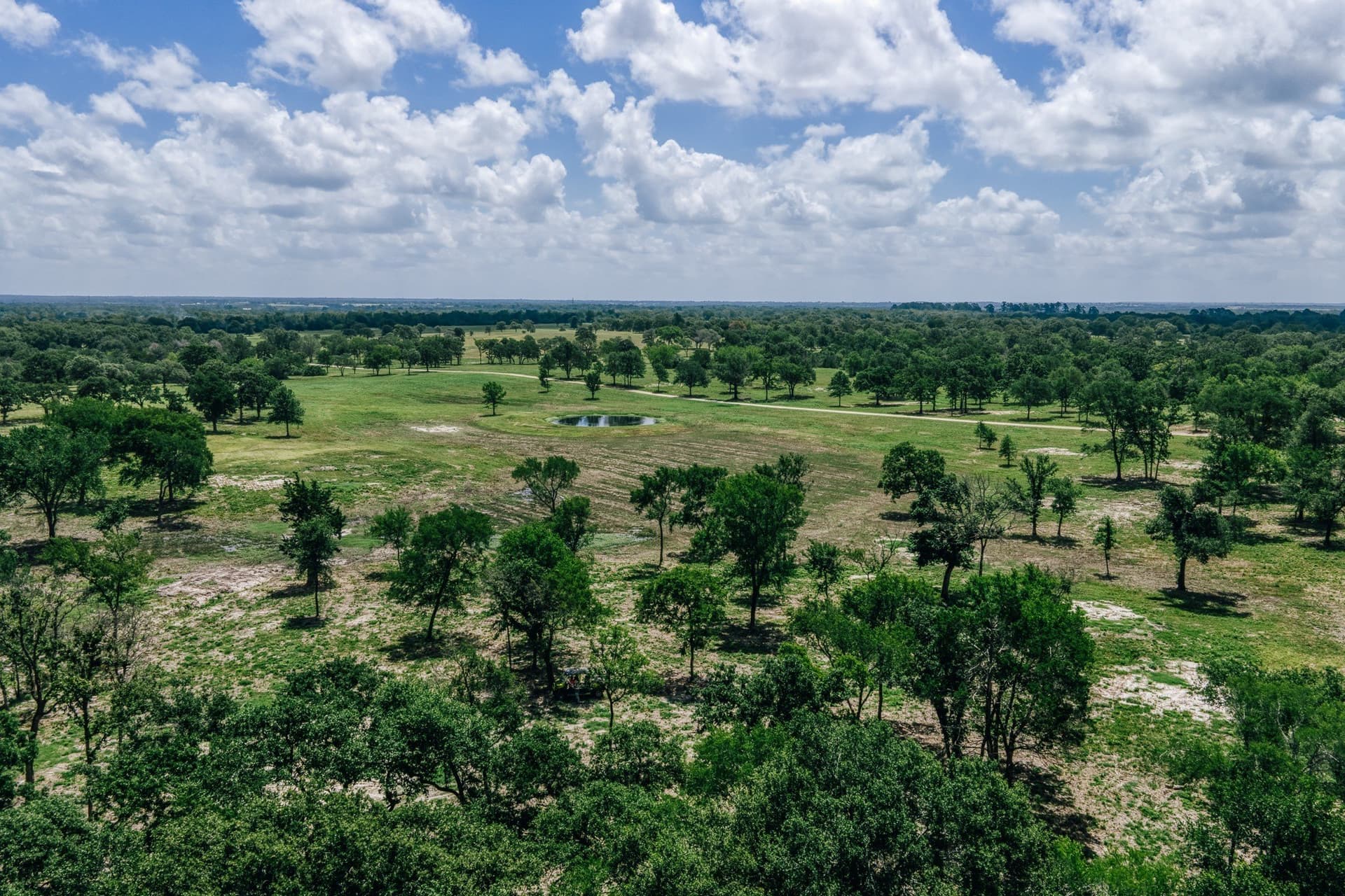 1,021 acres in Limestone County - photo 29