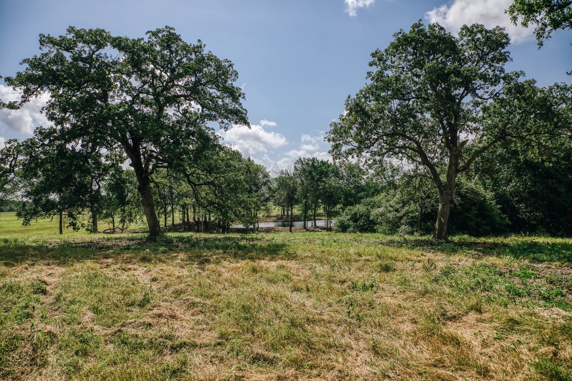 1,021 acres in Limestone County - photo 31