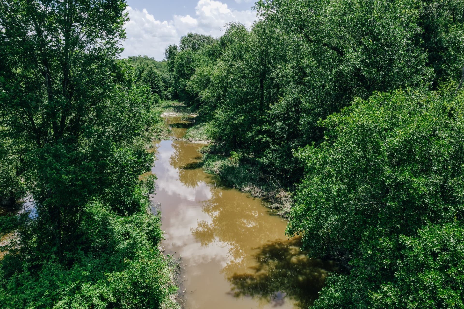 1,021 acres in Limestone County - photo 6