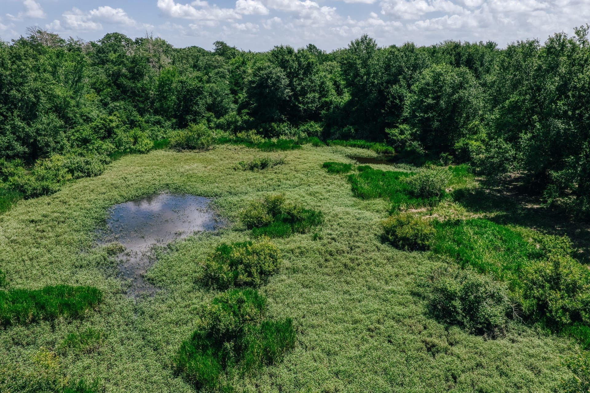 1,021 acres in Limestone County - photo 3