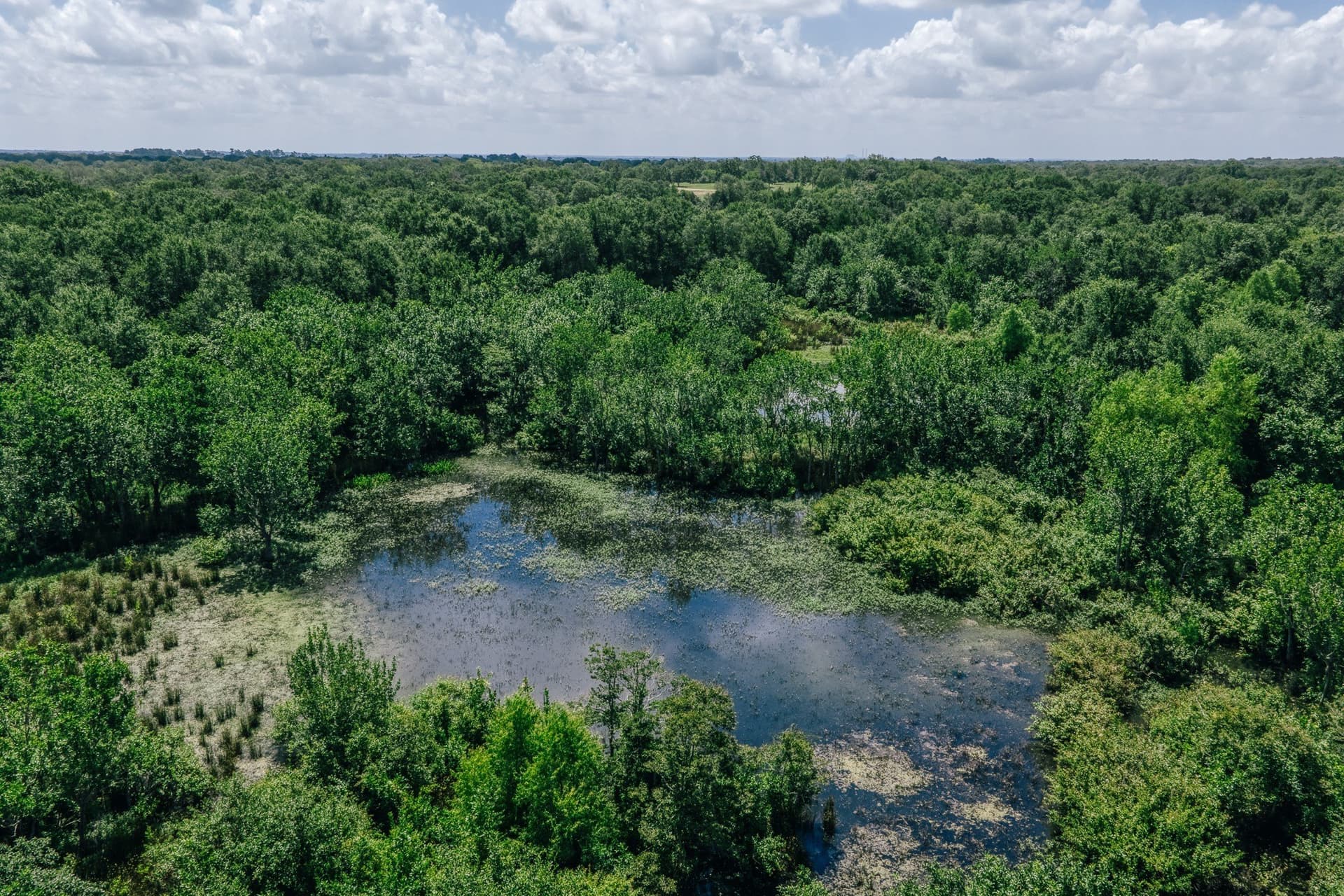 1,021 acres in Limestone County - photo 2