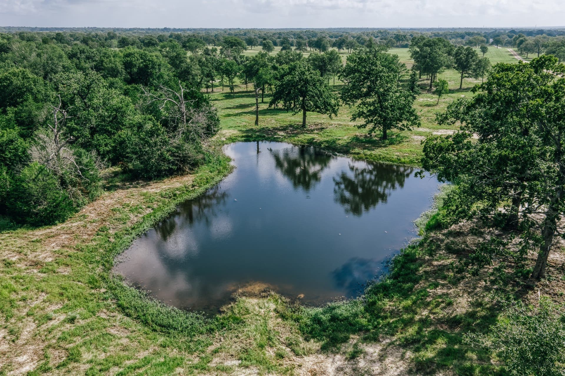 1,021 acres in Limestone County - photo 16