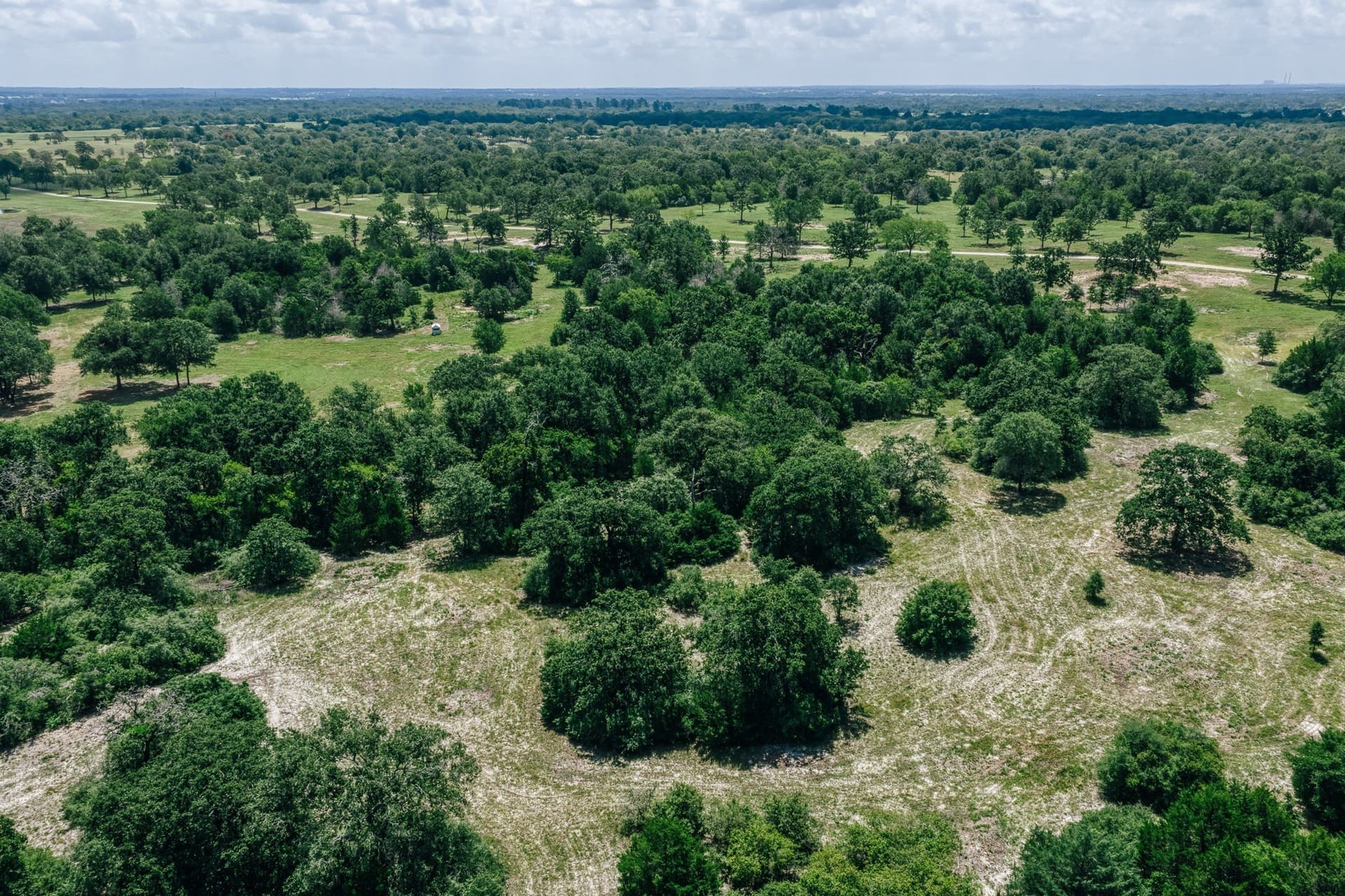 1,021 acres in Limestone County - photo 28