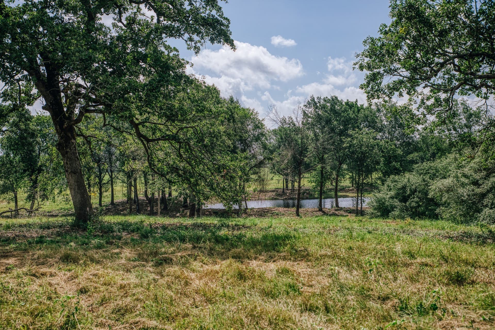 1,021 acres in Limestone County - photo 30