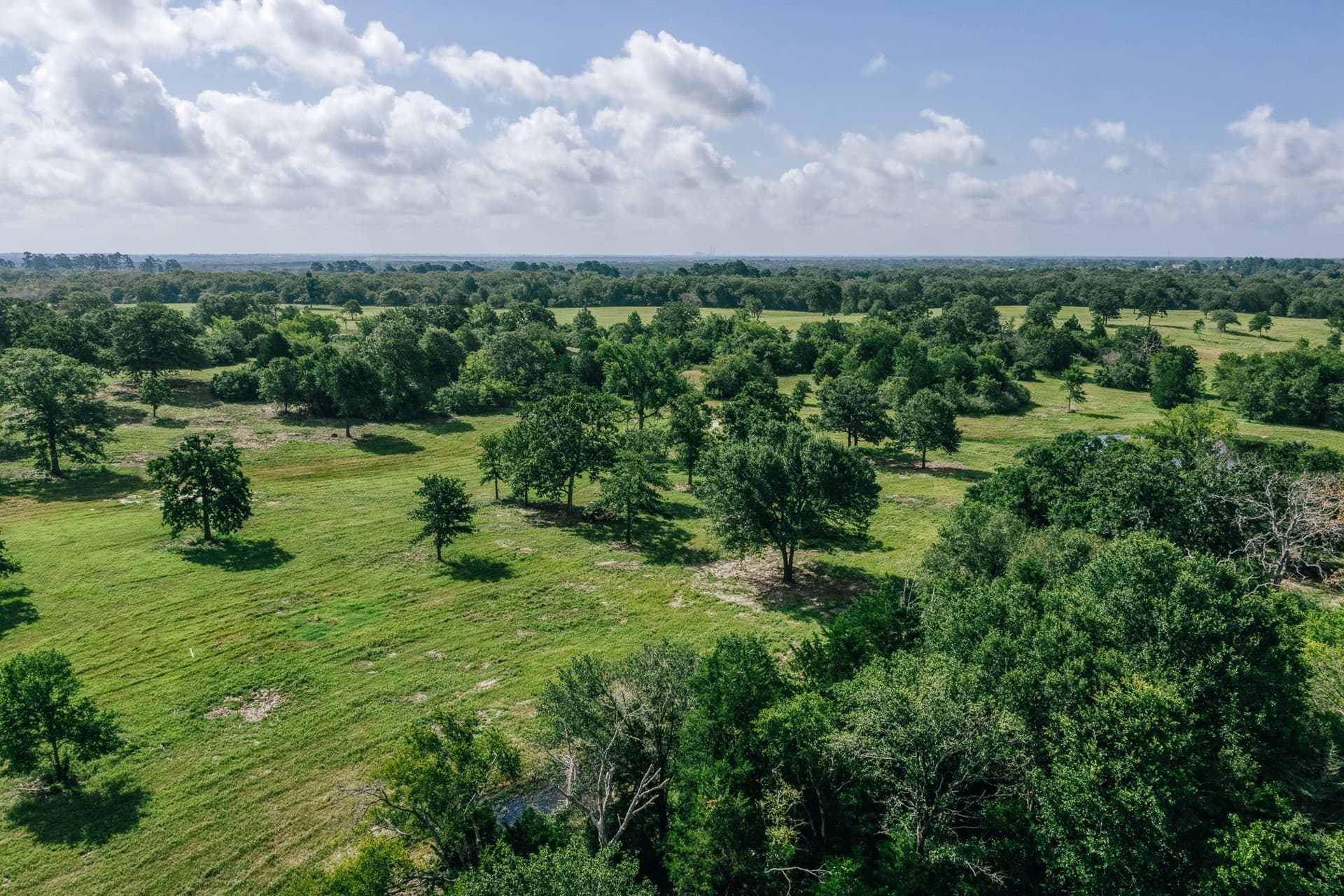 1,021 acres in Limestone County - photo 25
