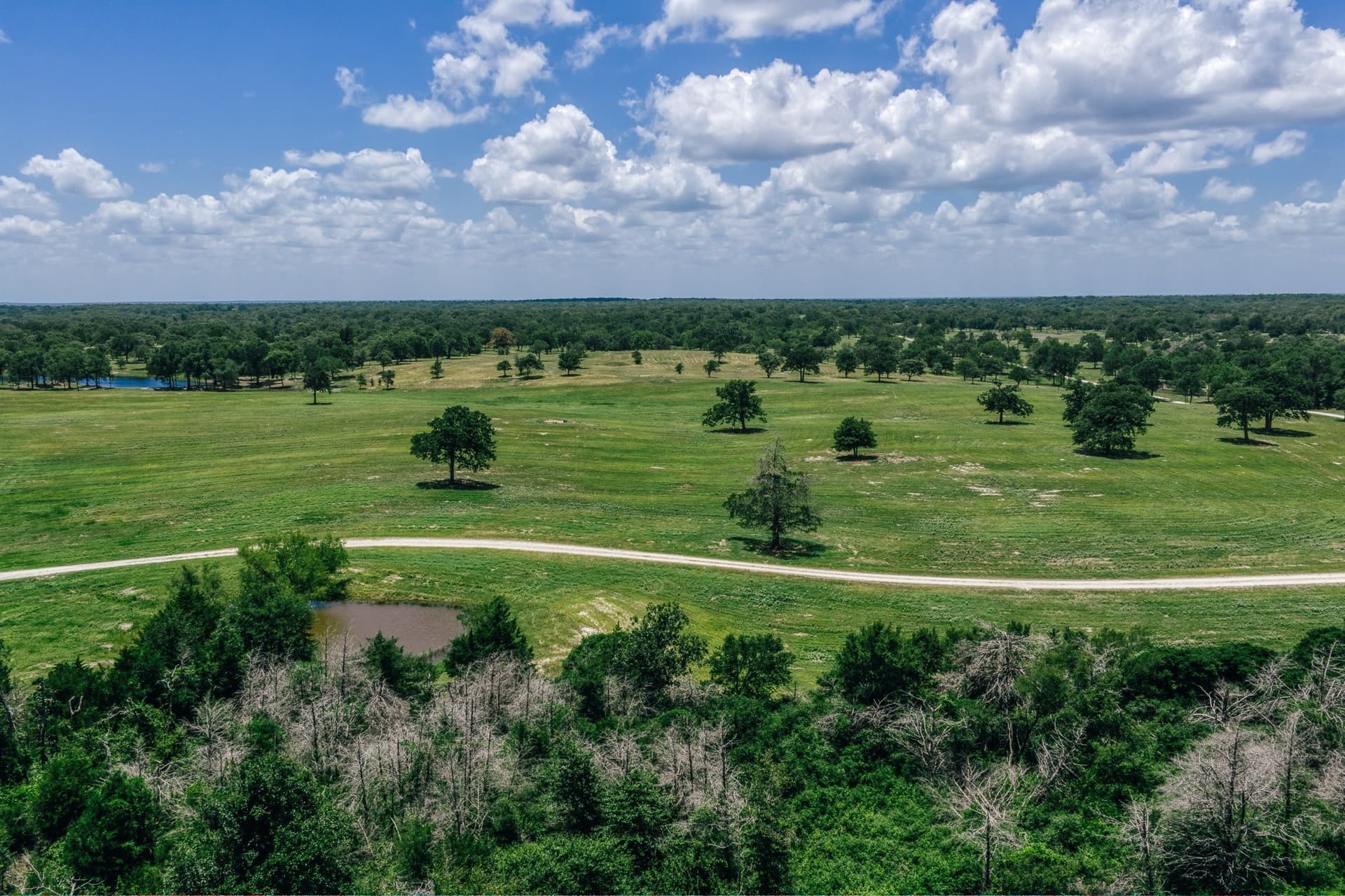 1,021 acres in Limestone County - photo 11