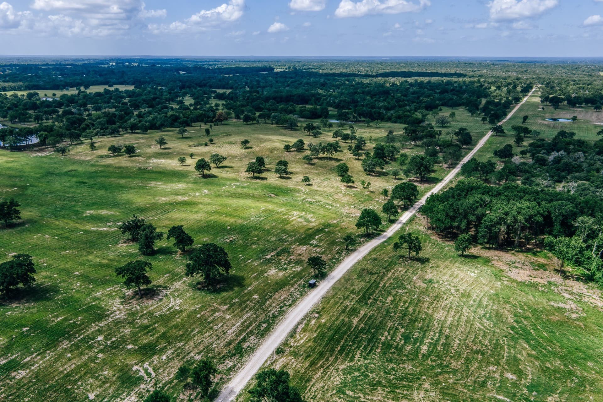 1,021 acres in Limestone County - photo 27