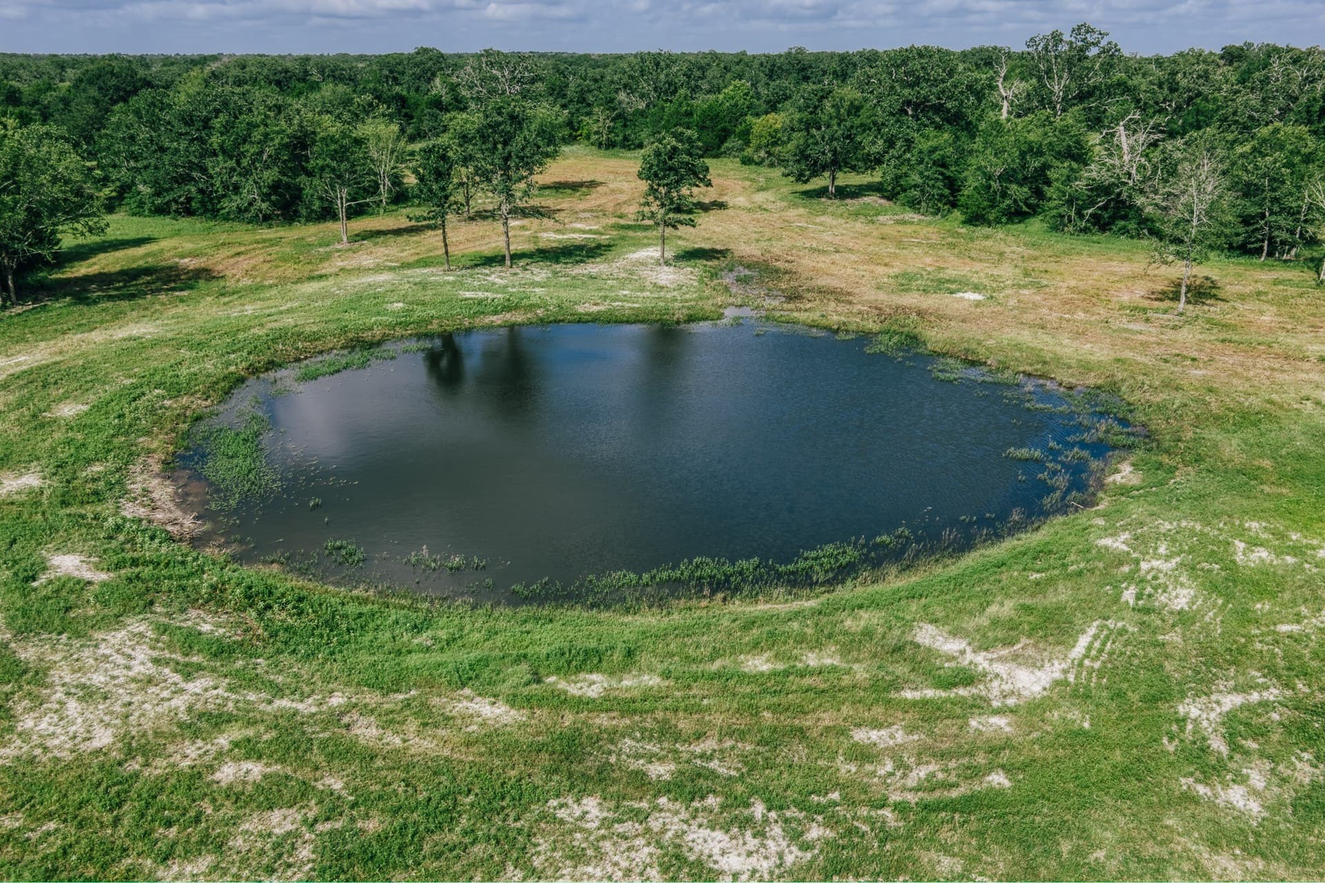 1,021 acres in Limestone County - photo 15