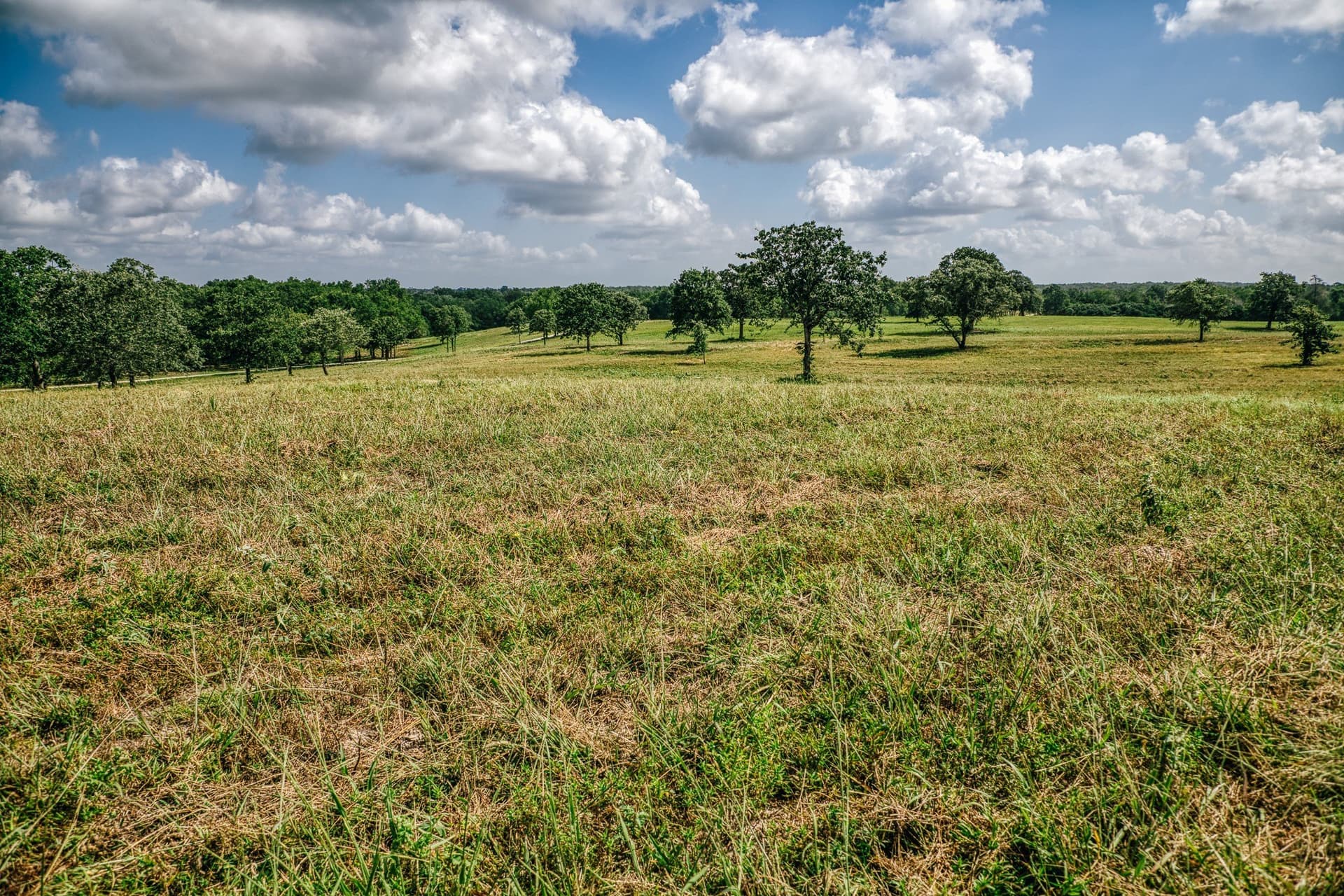 1,021 acres in Limestone County - photo 34