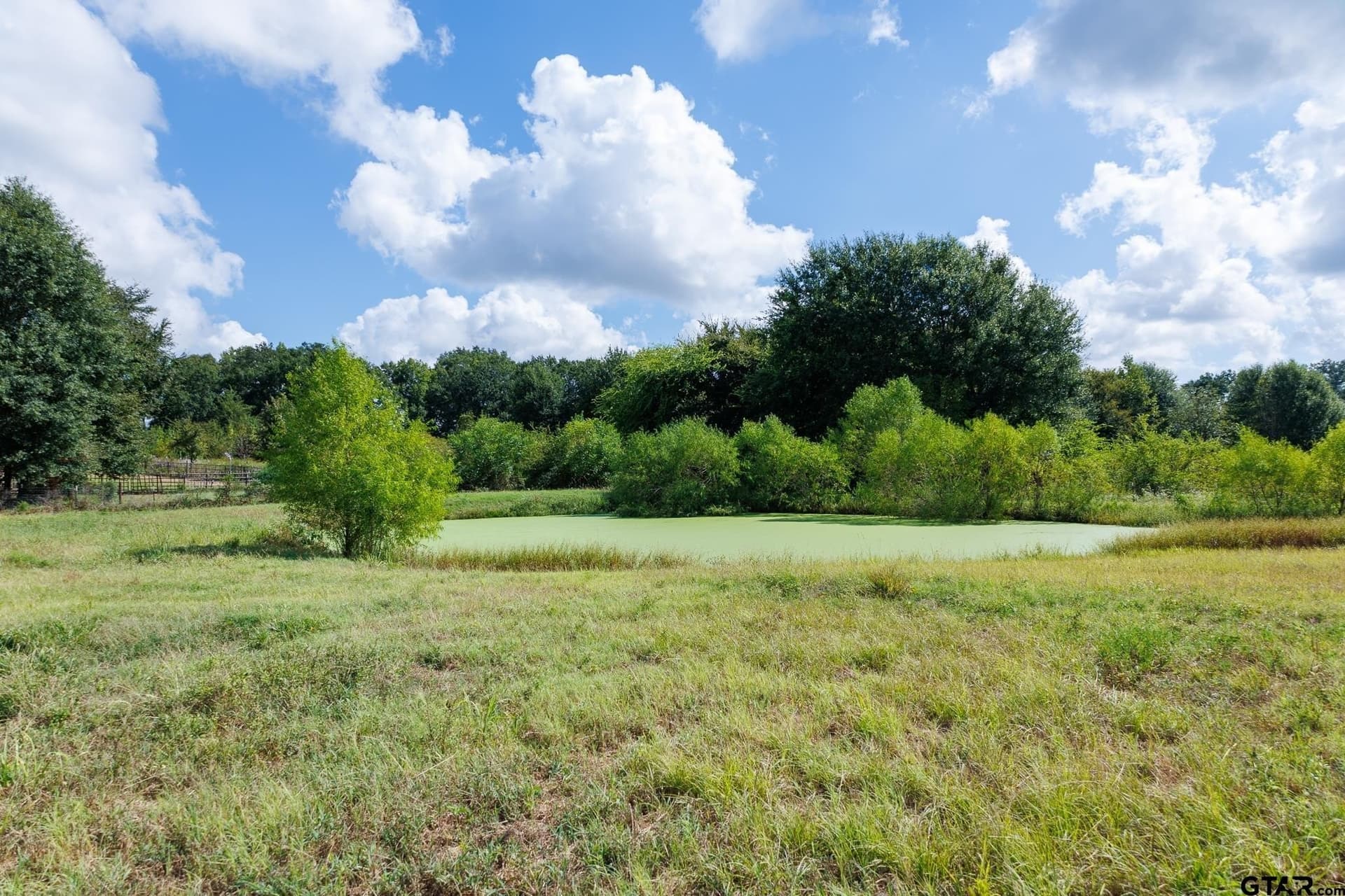 18.72 acres in Henderson County - photo 13
