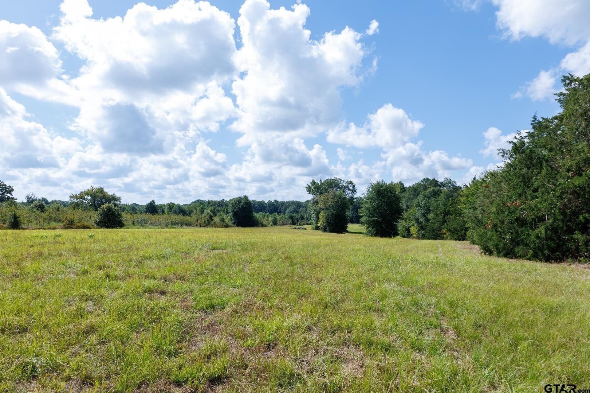 18.72 acres in Henderson County - photo 24