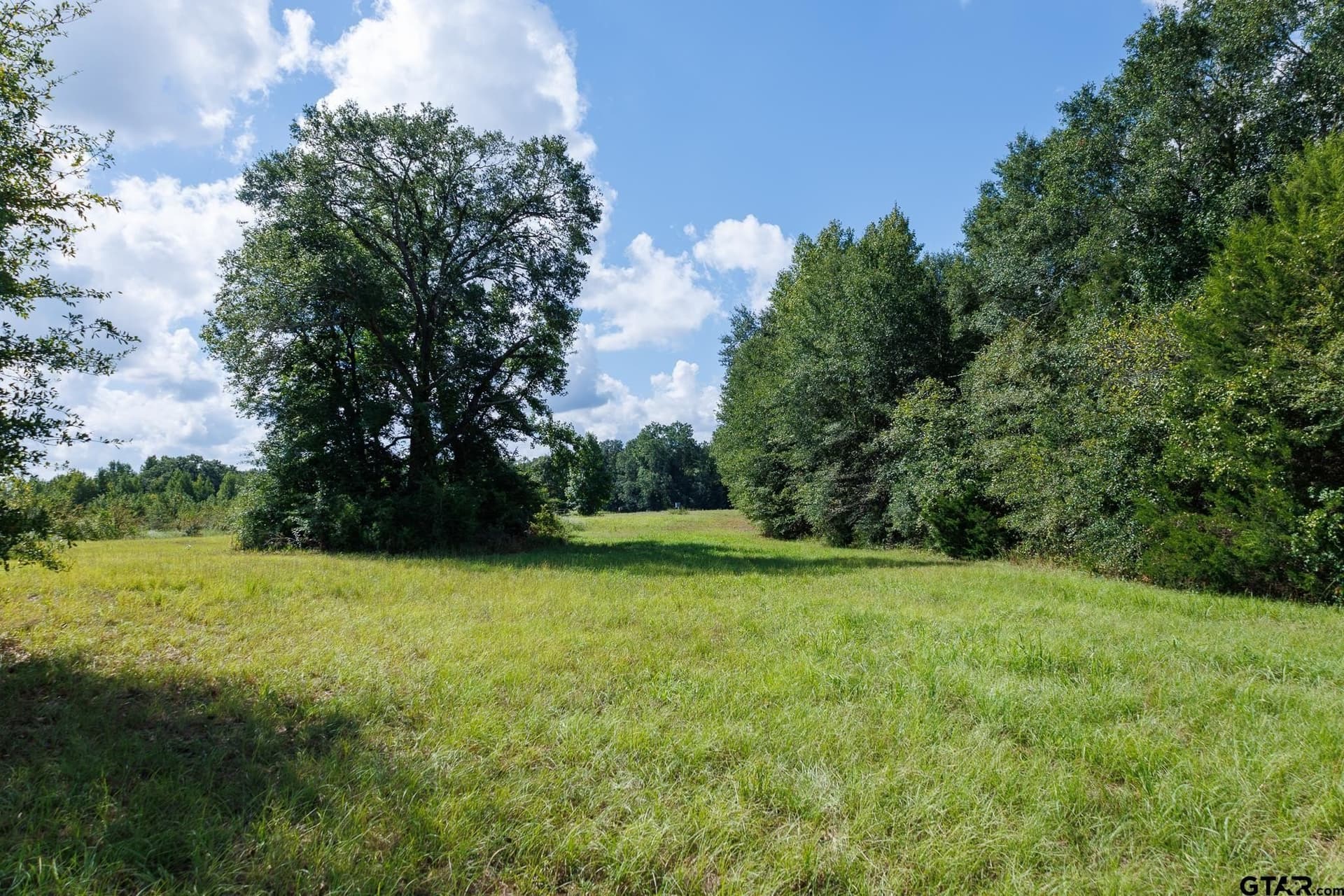 18.72 acres in Henderson County - photo 20
