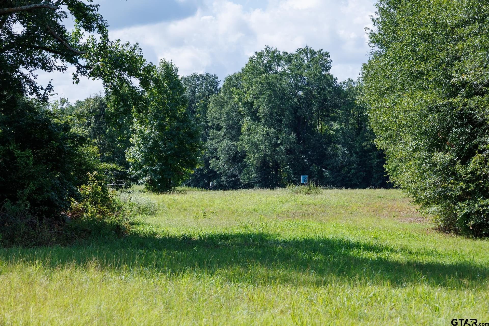 18.72 acres in Henderson County - photo 21