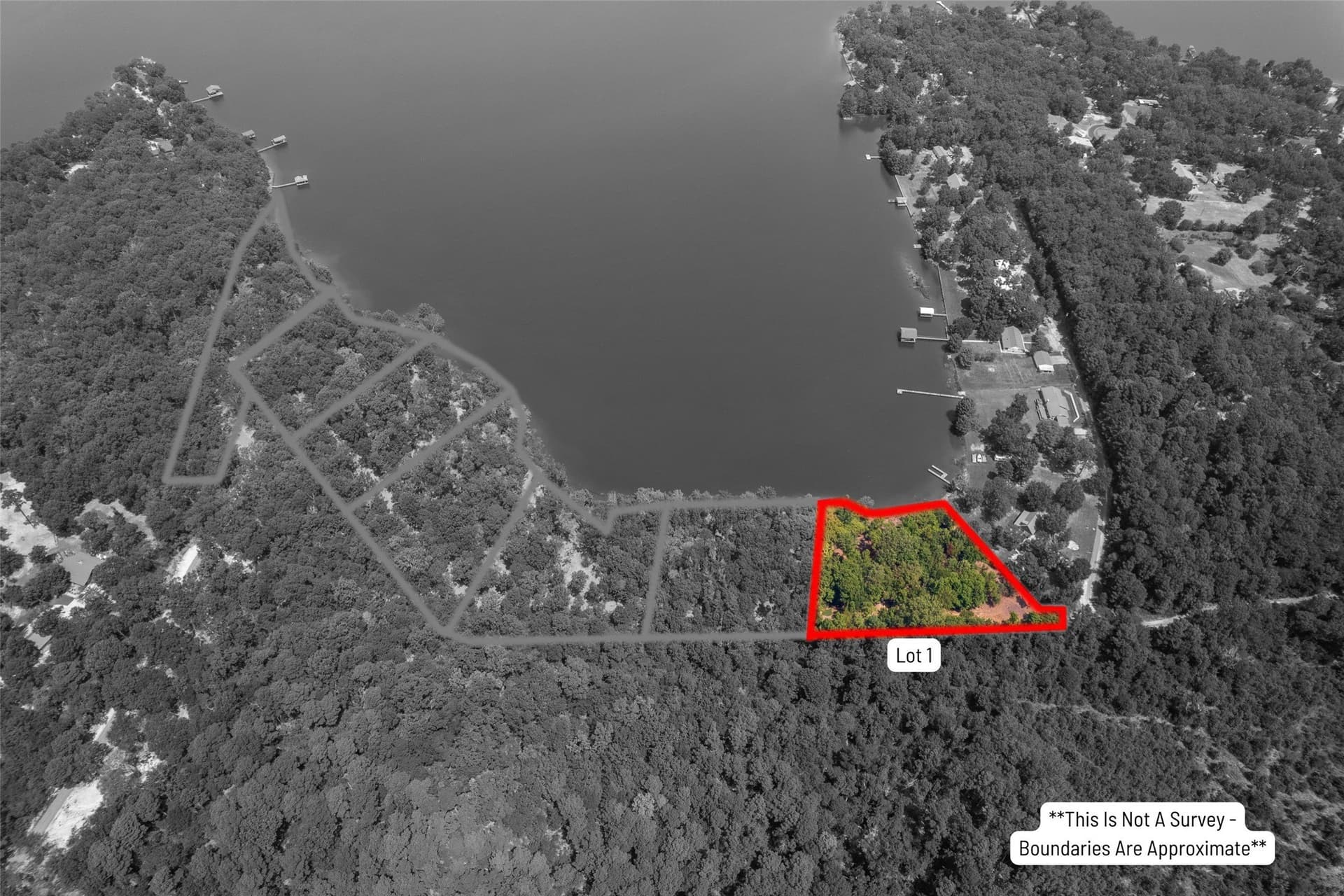 1.75 acres in Camp County - photo 4