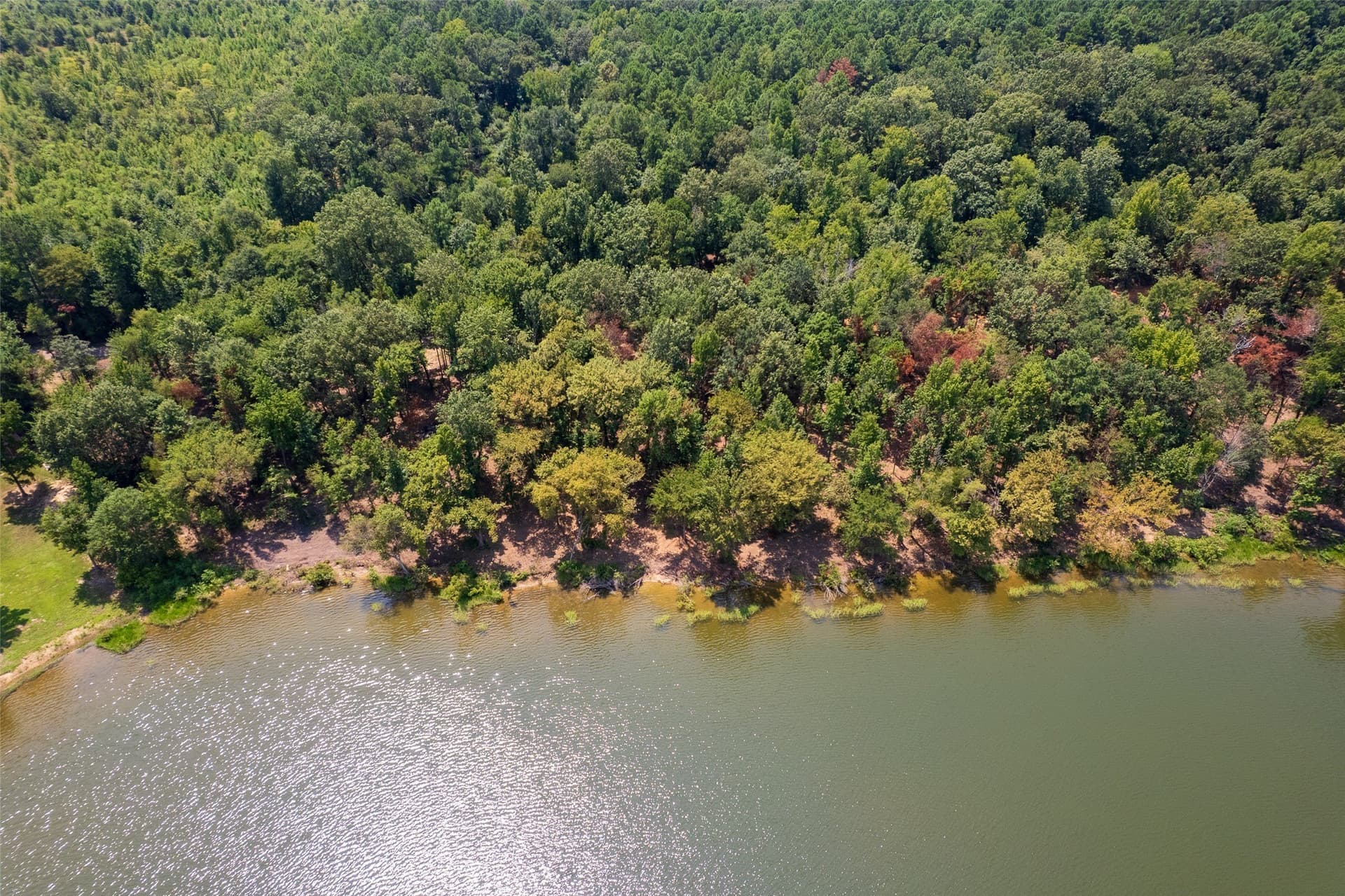 1.75 acres in Camp County - photo 9