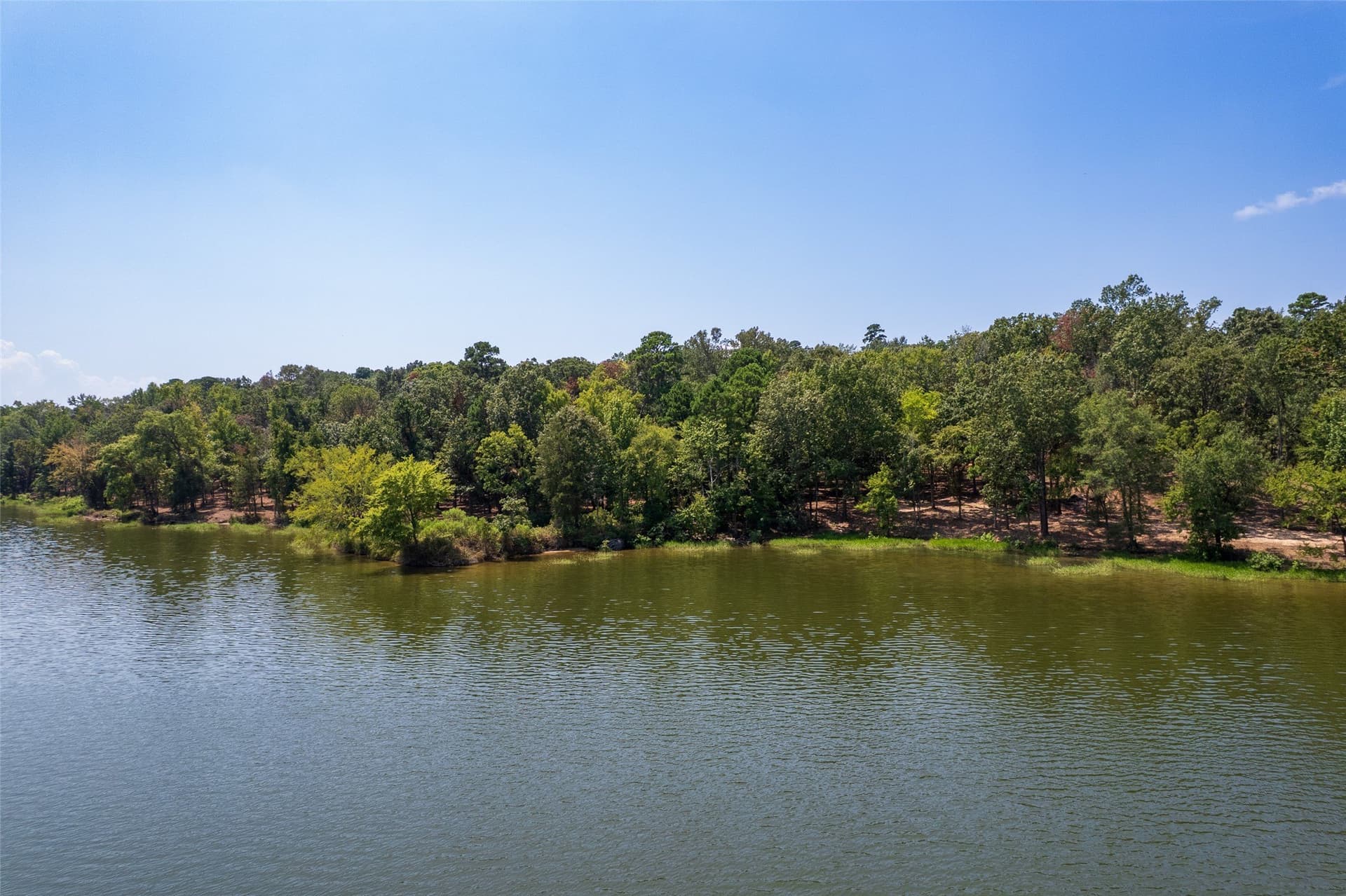 1.75 acres in Camp County - photo 8