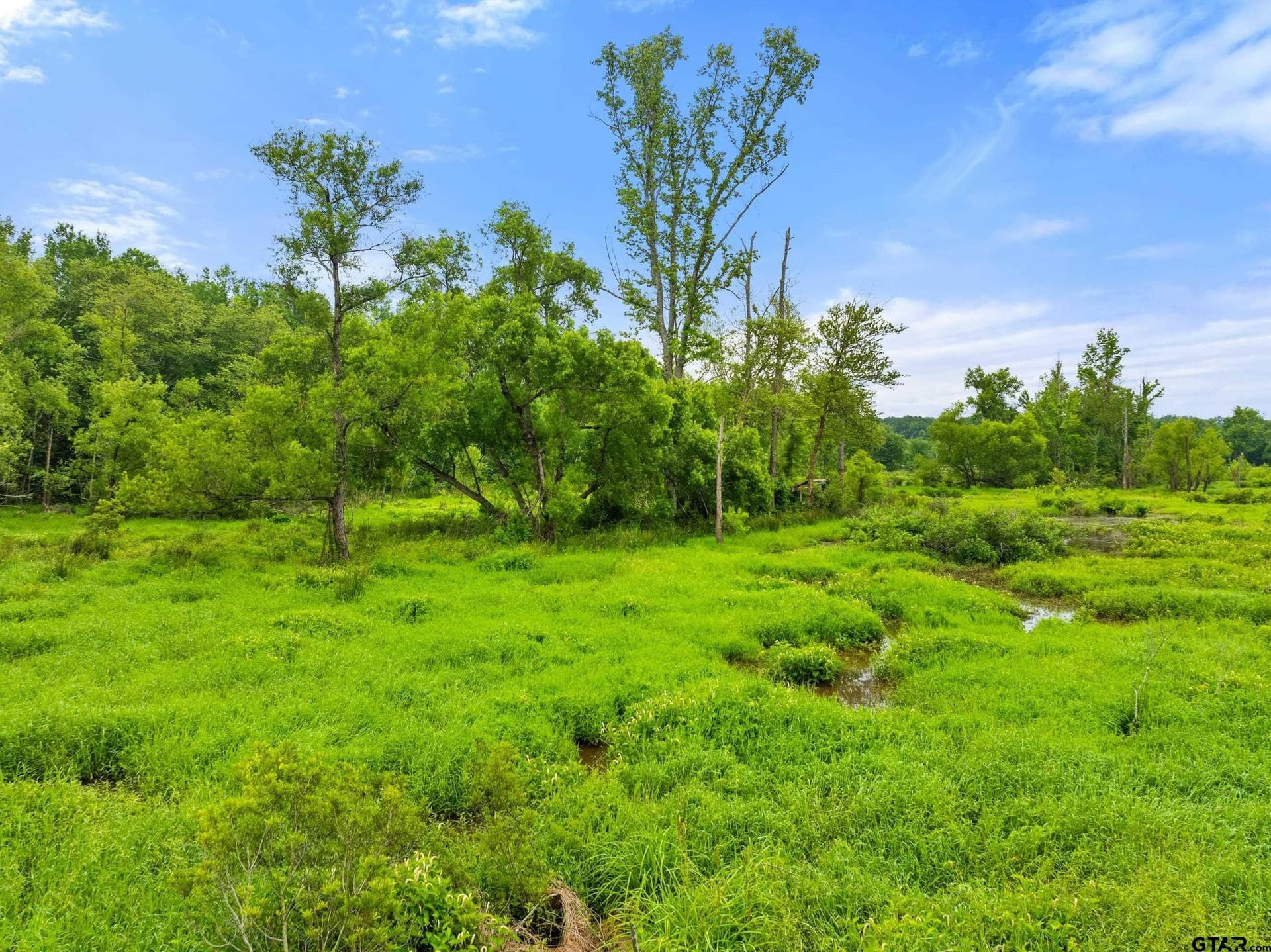 19.95 acres in Smith County - photo 4