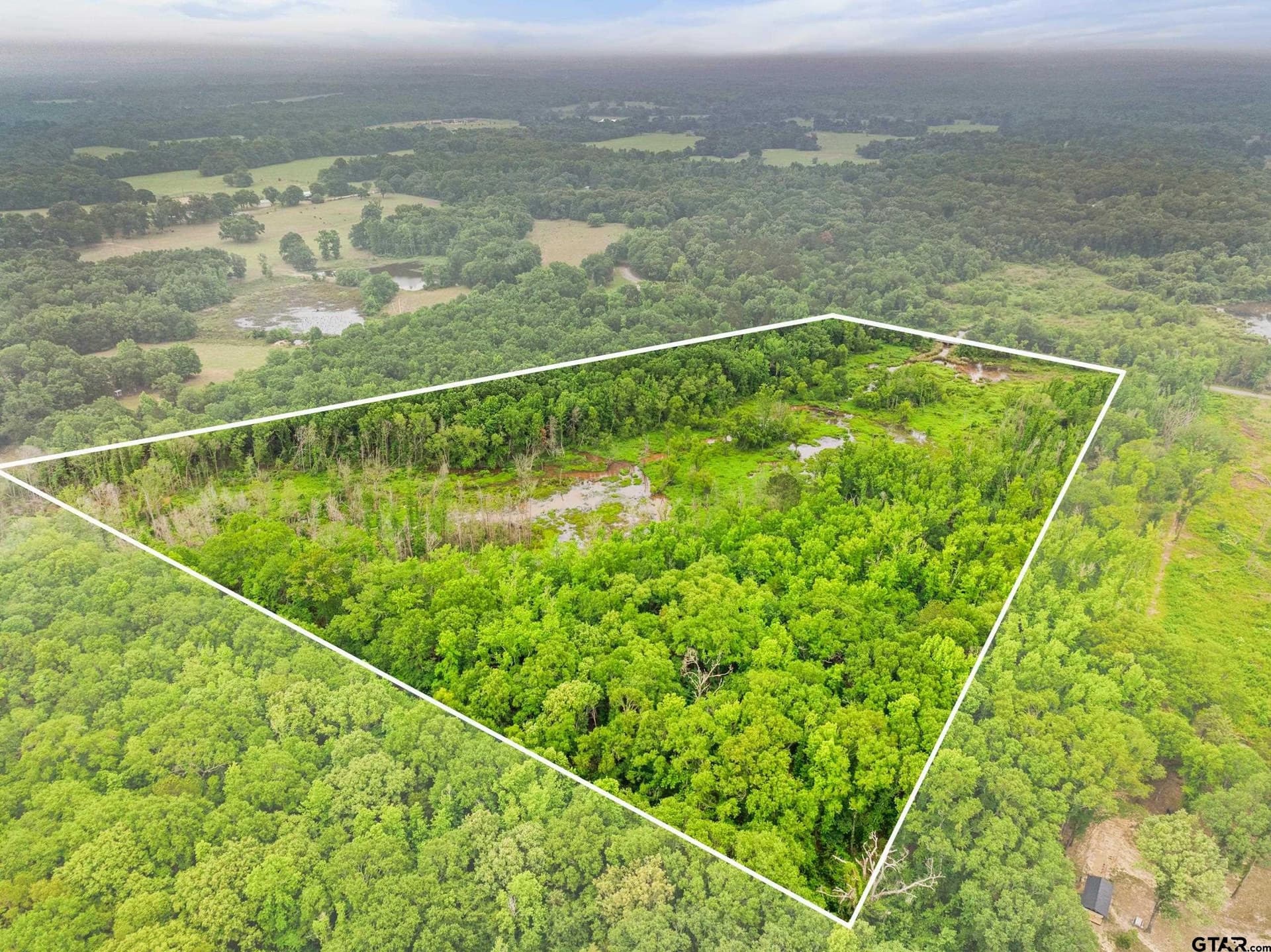 19.95 acres in Smith County - photo 8