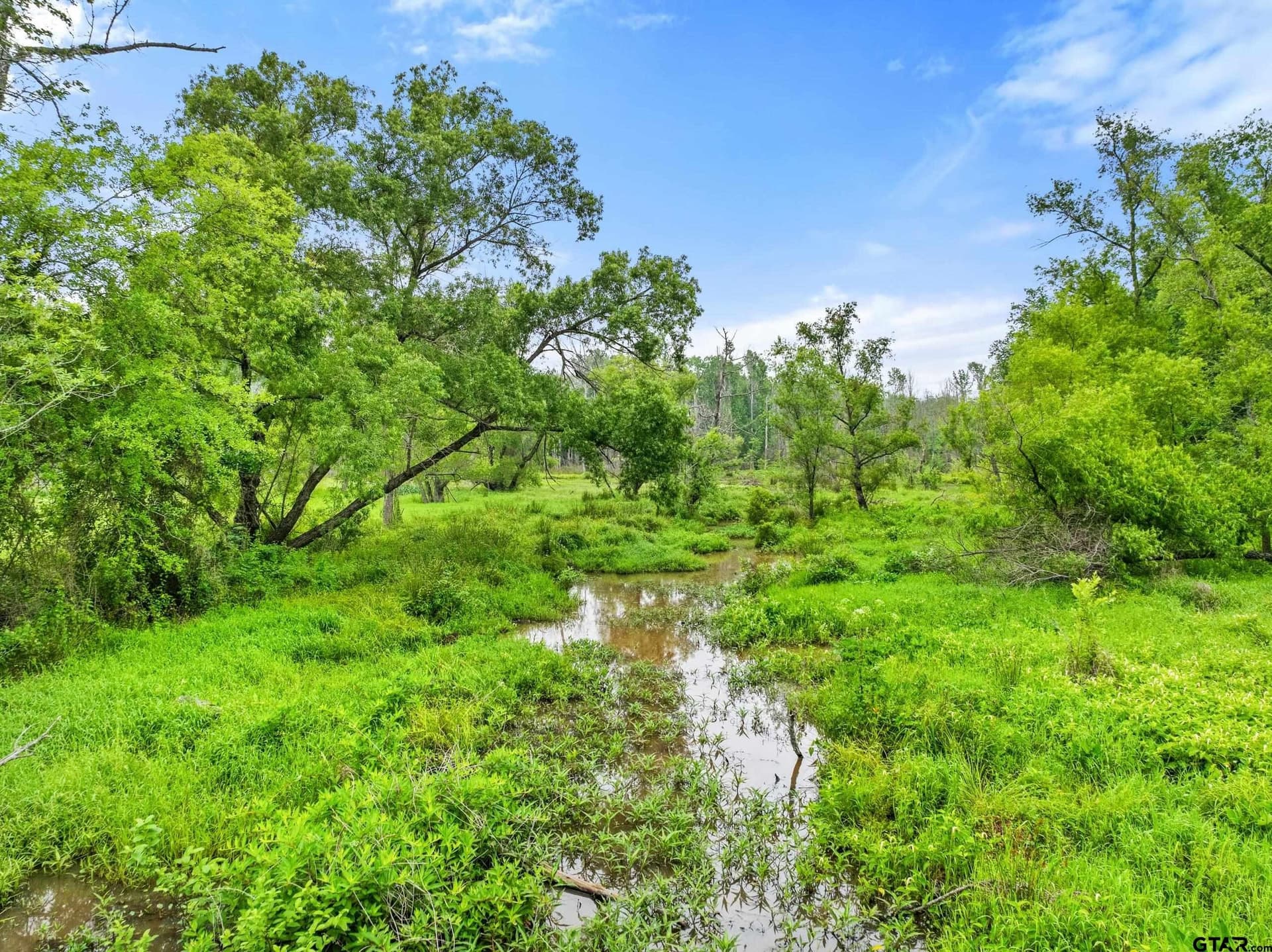 19.95 acres in Smith County - photo 22