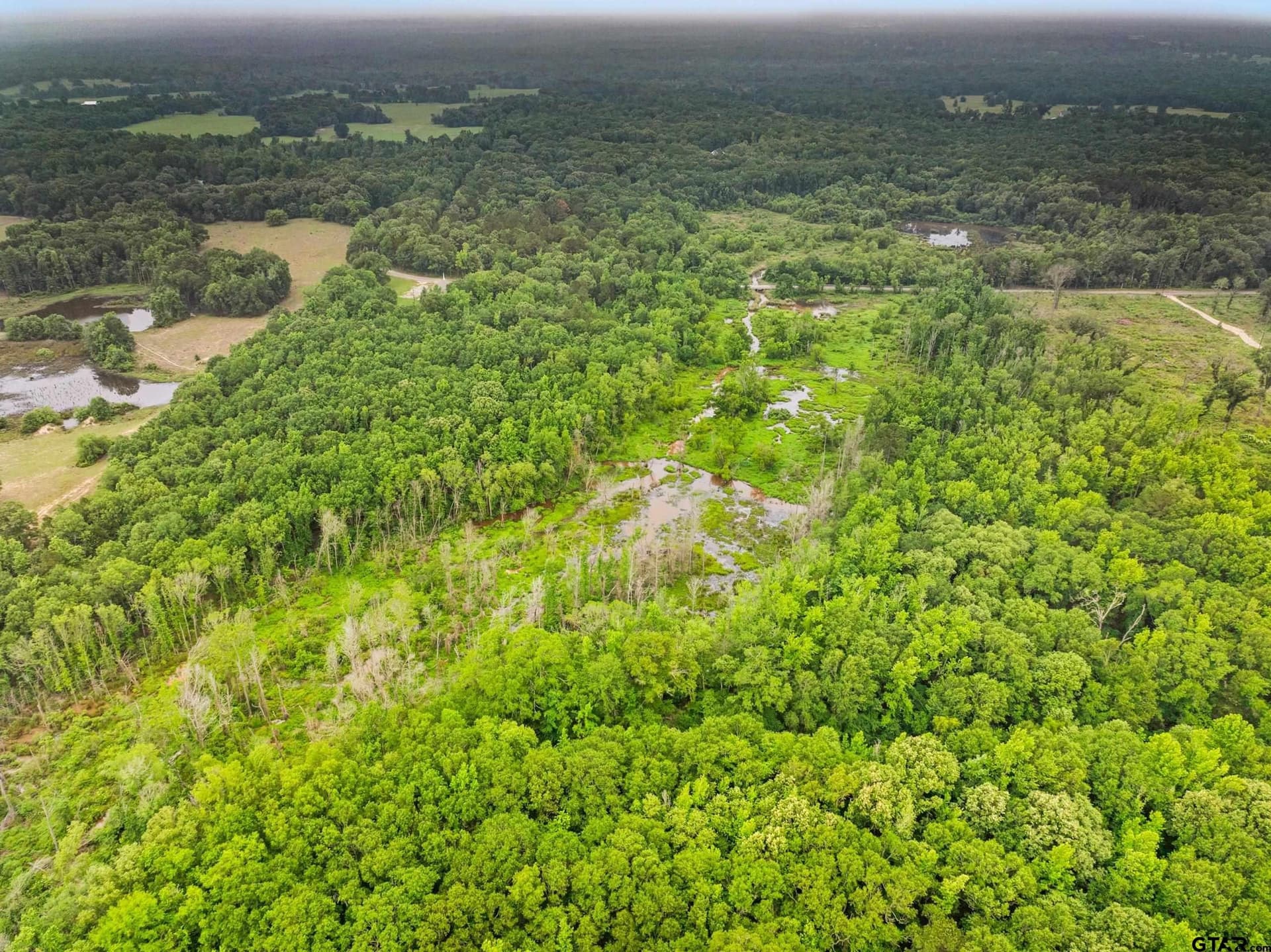 19.95 acres in Smith County - photo 13