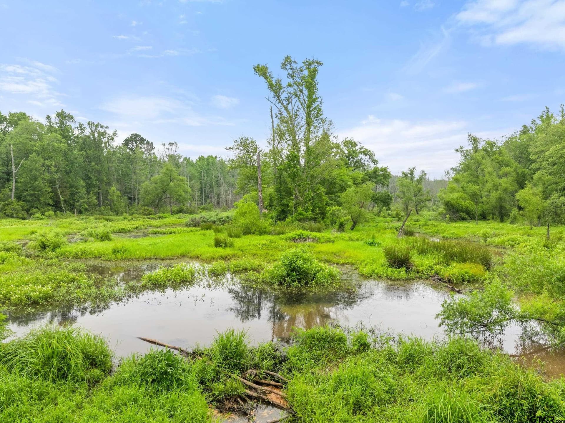 19.95 acres in Smith County - photo 23