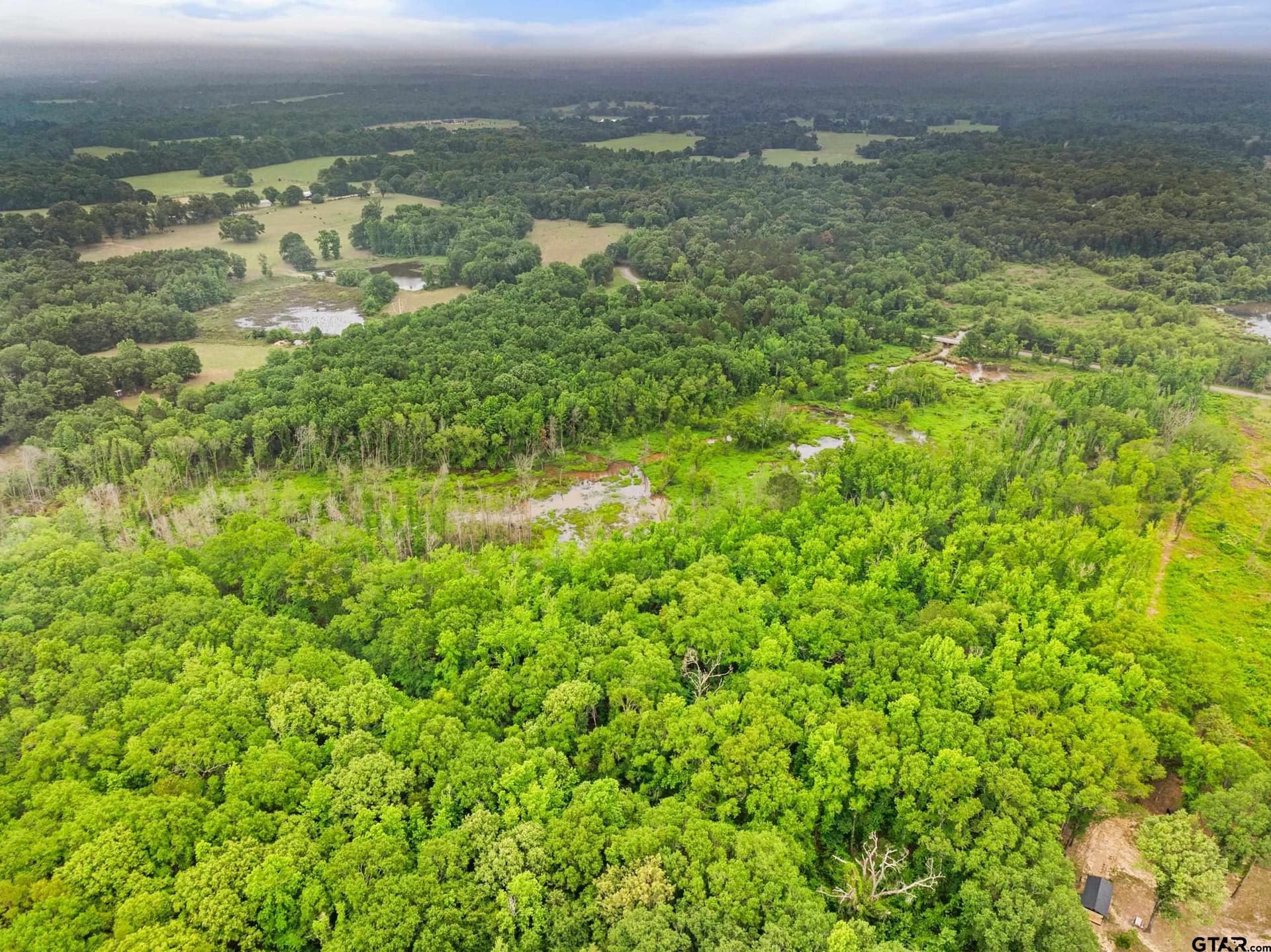 19.95 acres in Smith County - photo 9