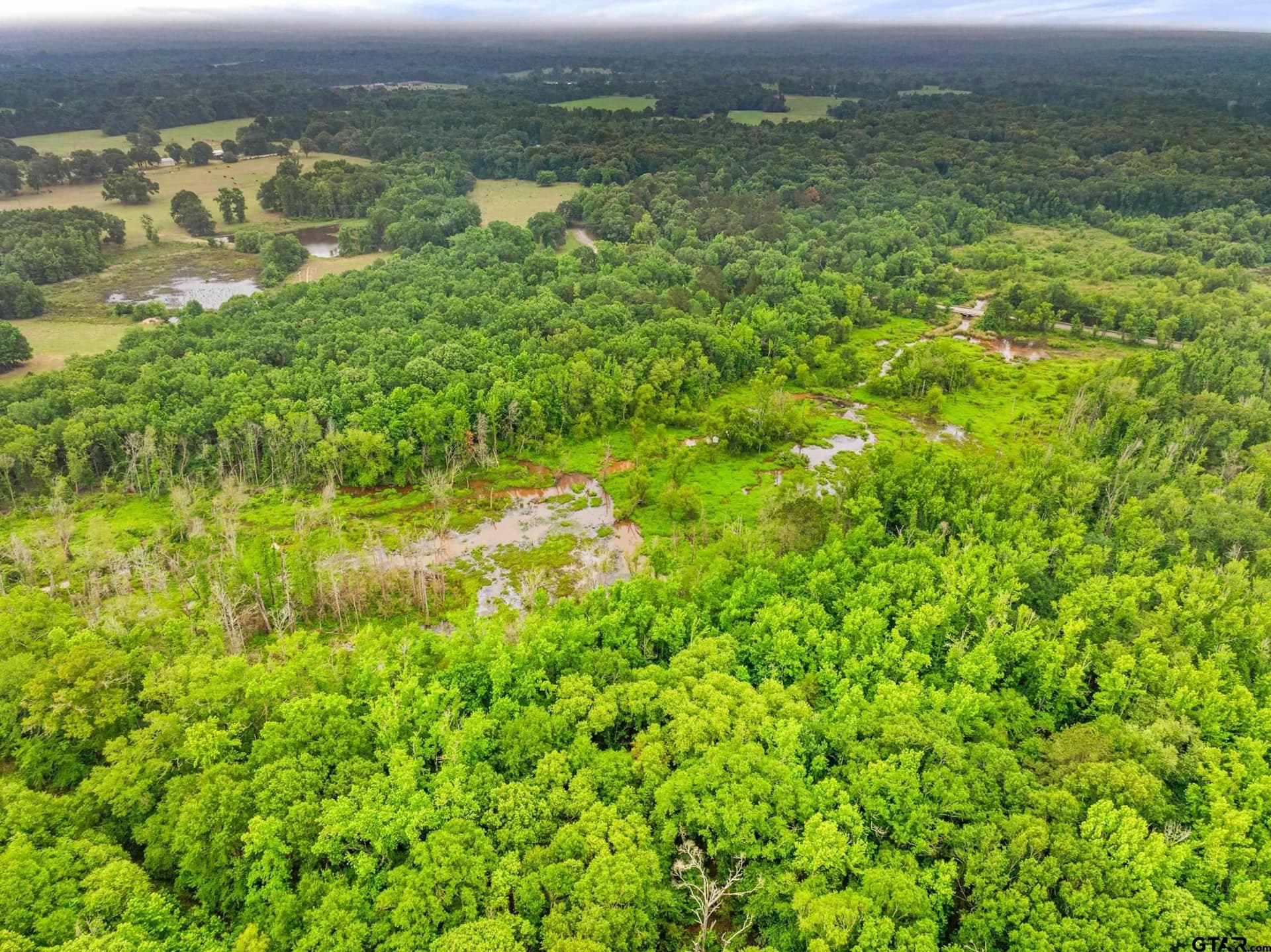 19.95 acres in Smith County - photo 6