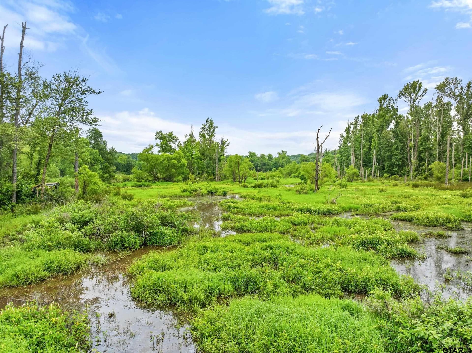 19.95 acres in Smith County - photo 20