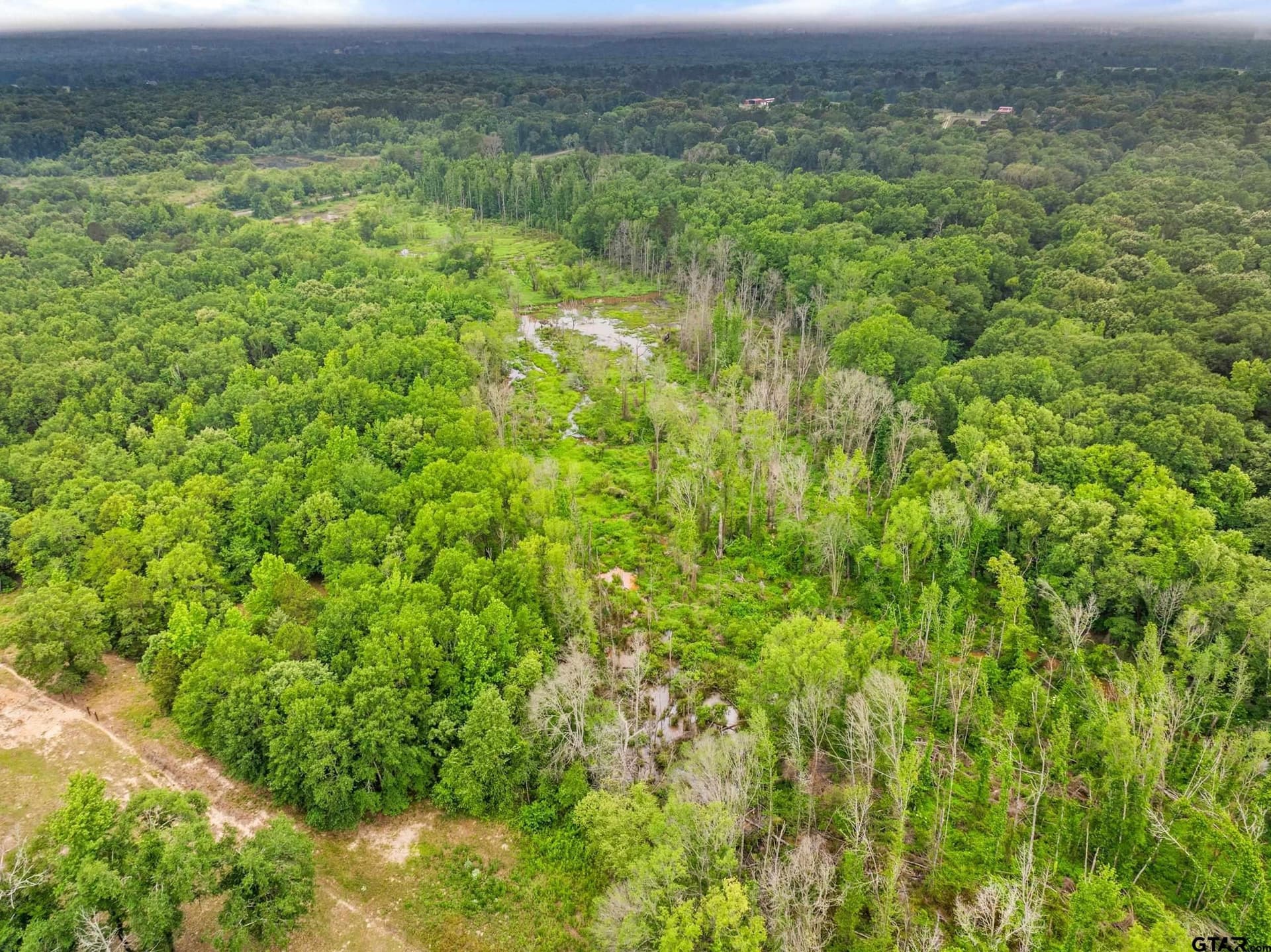 19.95 acres in Smith County - photo 14