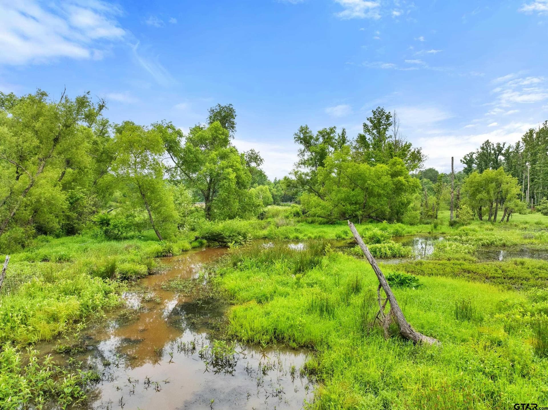 19.95 acres in Smith County - photo 21