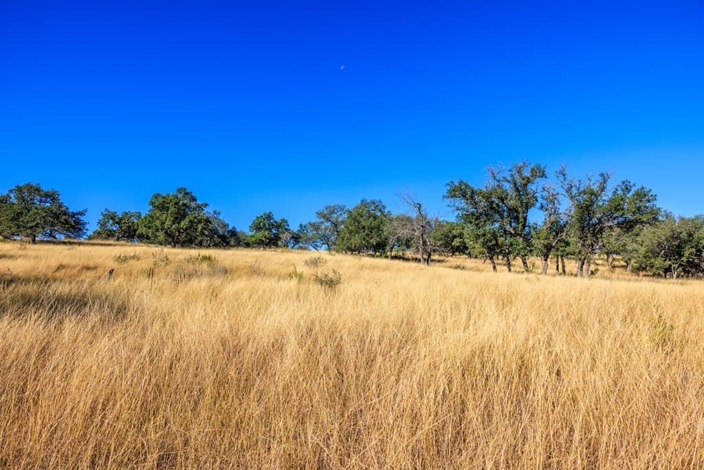 10.09 acres in Gillespie County - photo 31