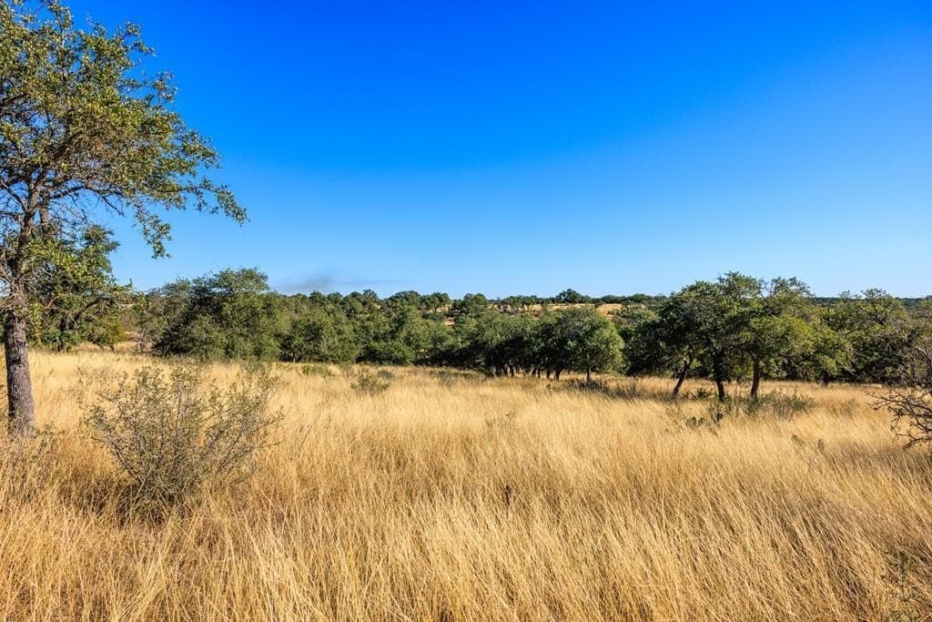 10.09 acres in Gillespie County gallery image 3