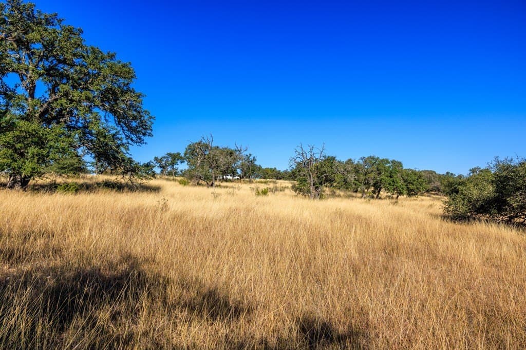 10.09 acres in Gillespie County - photo 21
