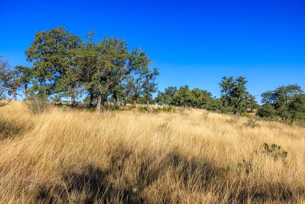 10.09 acres in Gillespie County - photo 17
