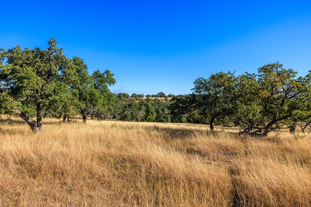 10.09 acres in Gillespie County - photo 23