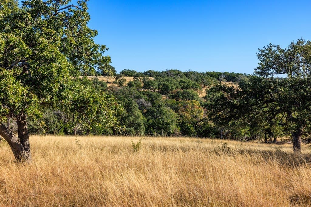 10.09 acres in Gillespie County - photo 22
