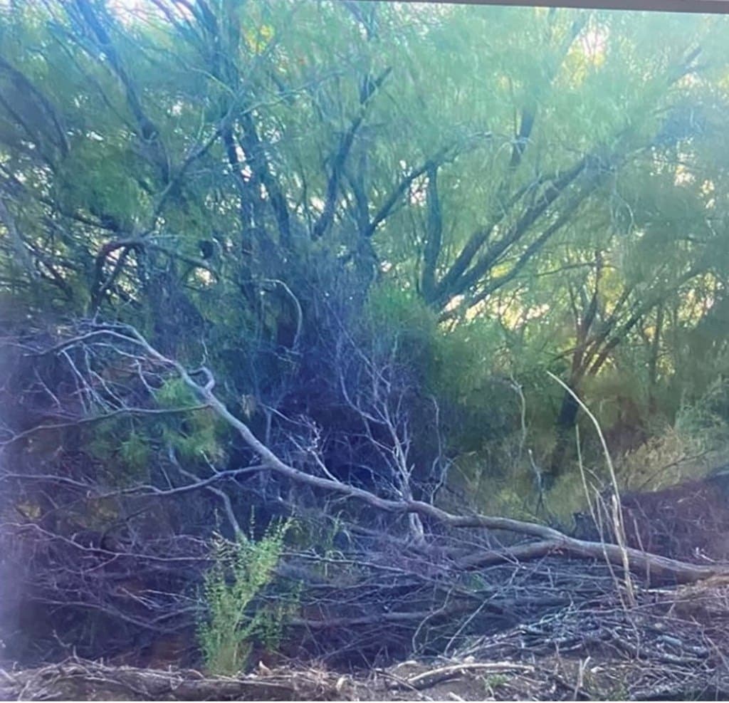 0.45 acres in Maverick County gallery image 2