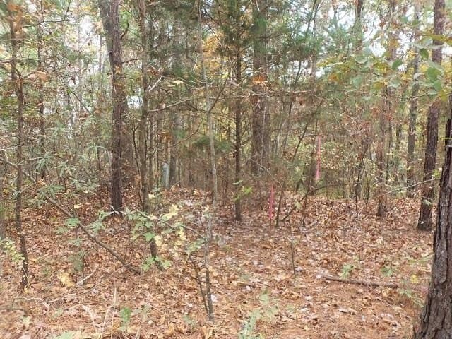 1.72 acres in Texas County gallery image 4