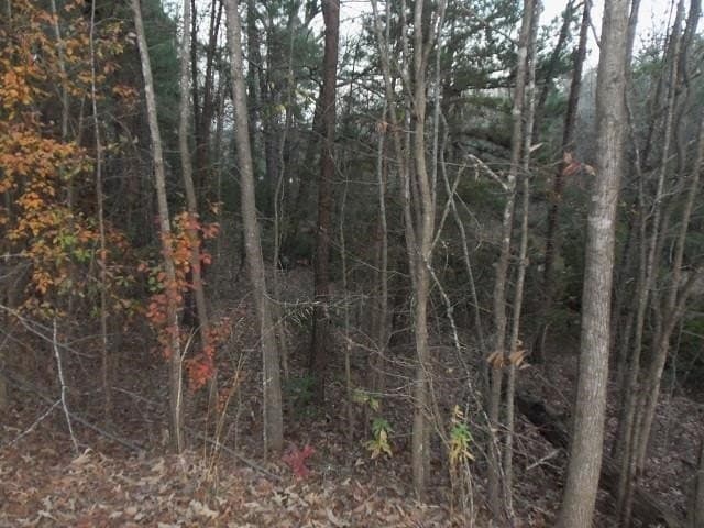 1.72 acres in Texas County gallery image 2