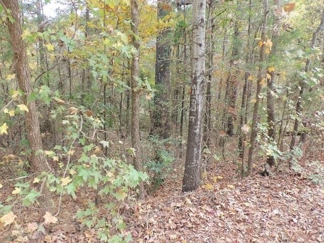 1.72 acres in Texas County gallery image 3