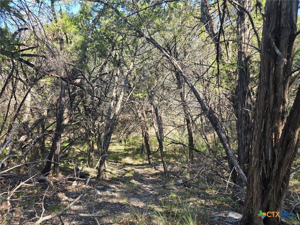 0.33 acres in Travis County featured view
