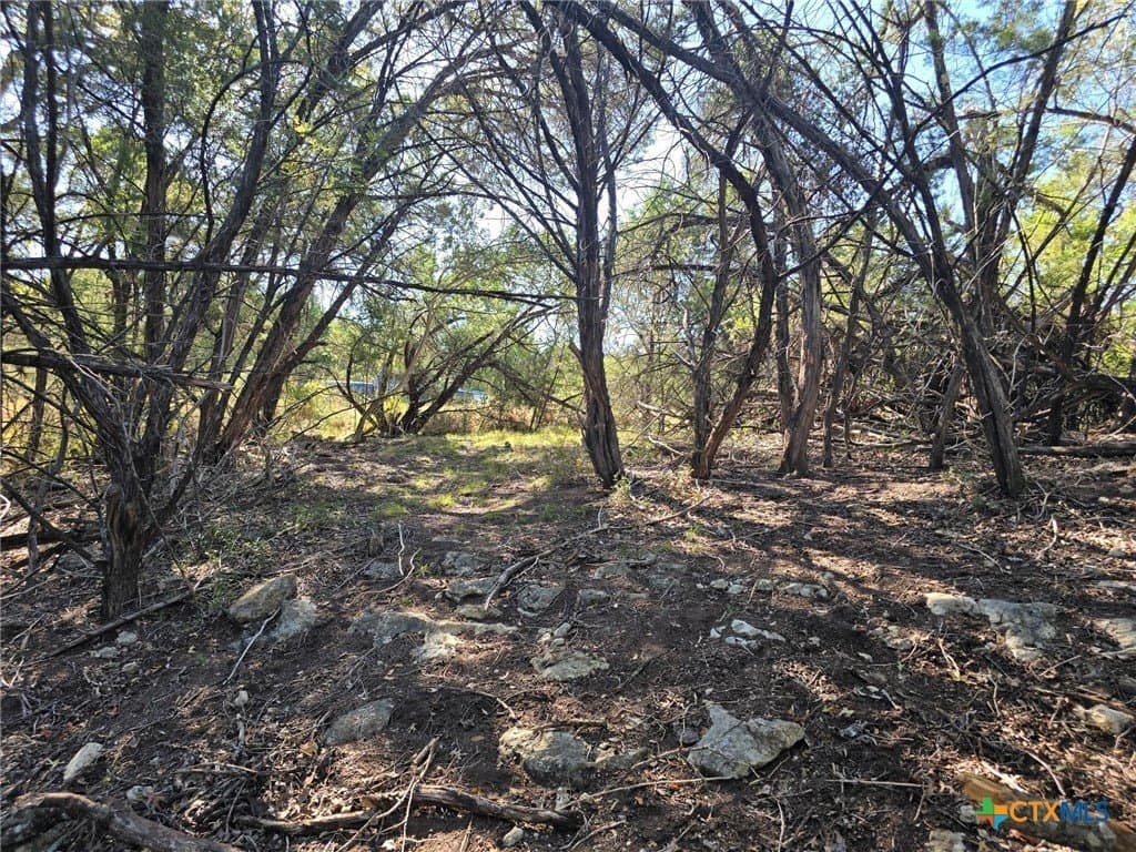 0.33 acres in Travis County gallery image 4