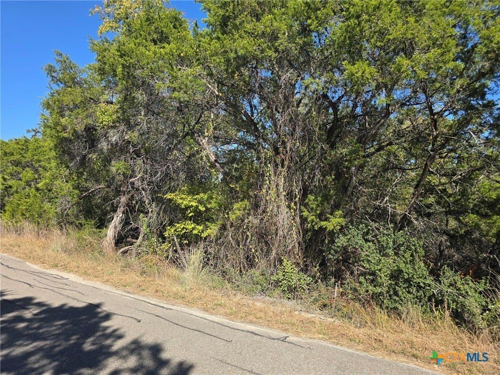 0.33 acres in Travis County gallery image 2