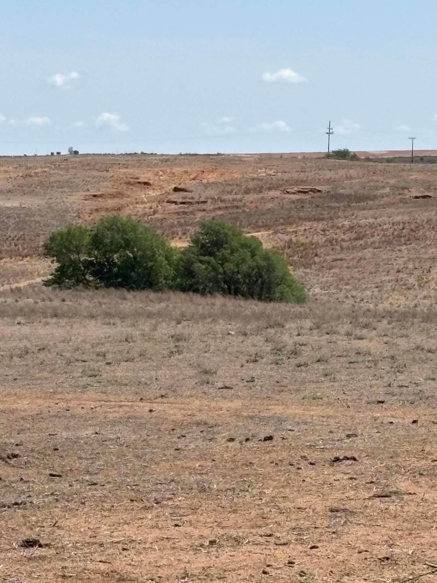 595 acres in Gray County featured view