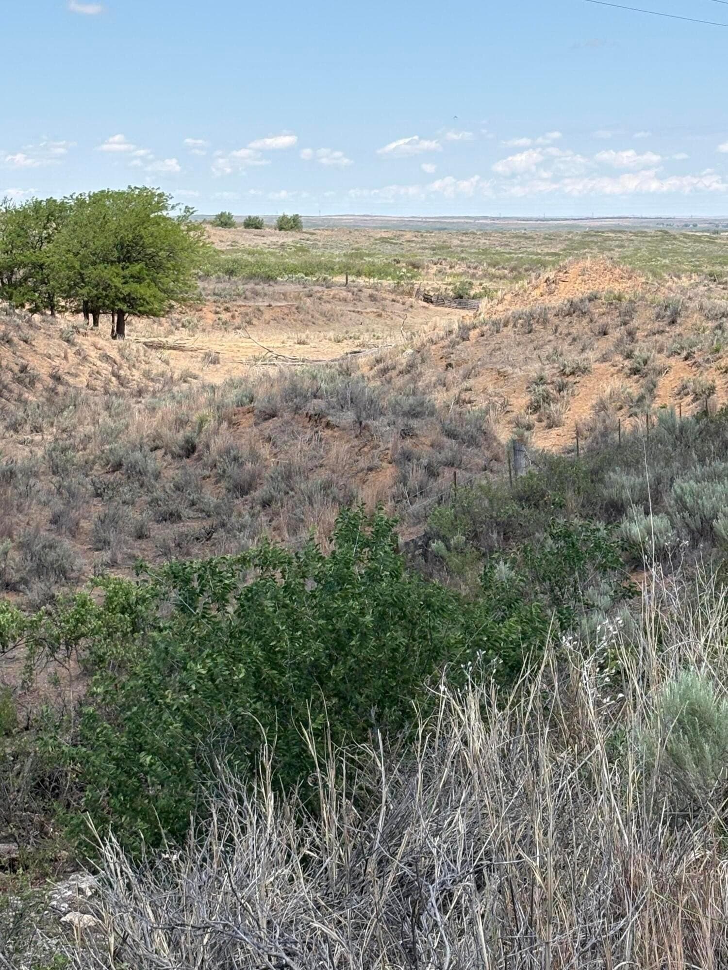 595 acres in Gray County gallery image 2