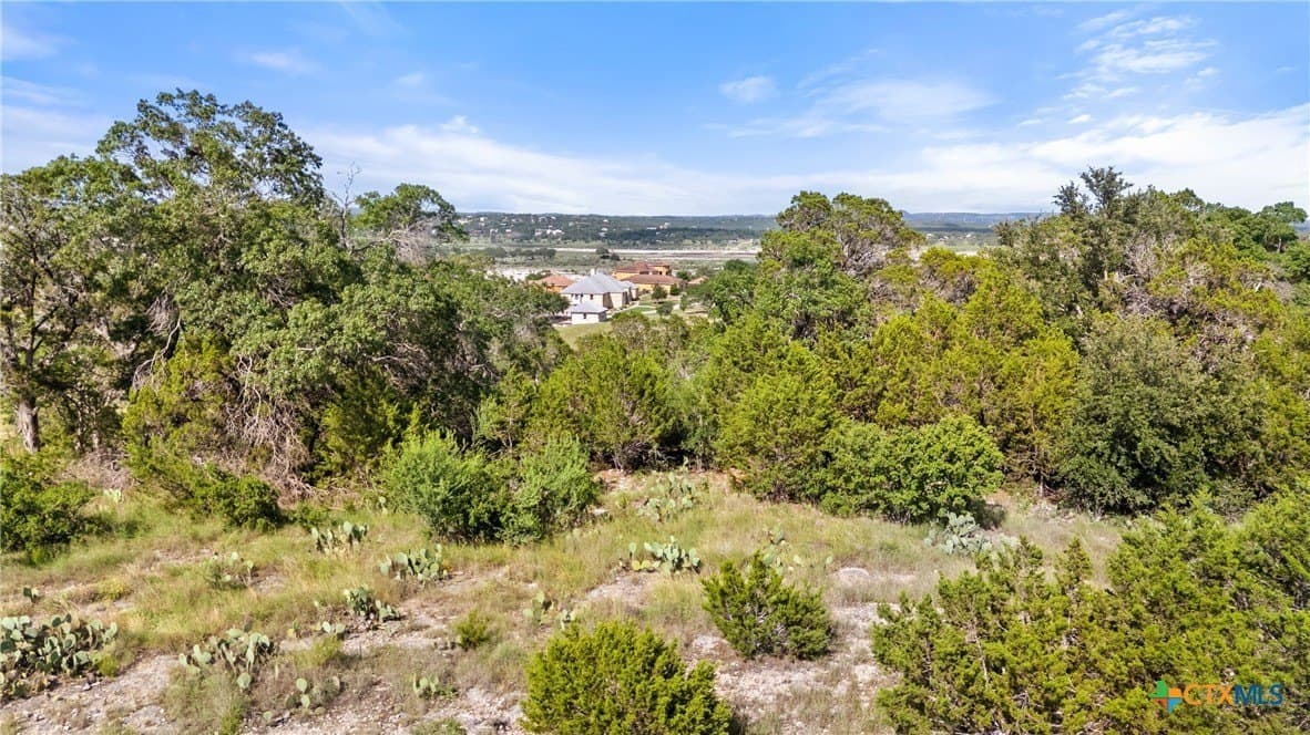 1.22 acres in Comal County gallery image 4