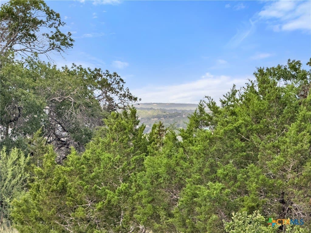 1.22 acres in Comal County gallery image 3