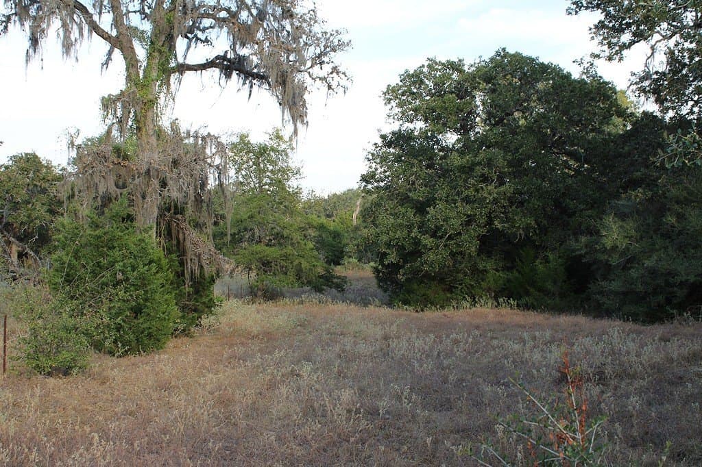 10 acres in Colorado County - photo 12