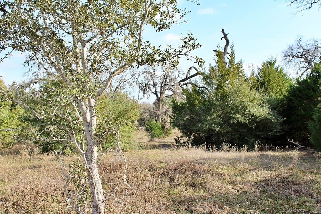 10 acres in Colorado County - photo 5